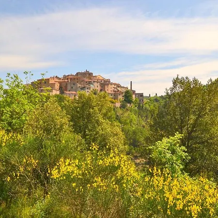 2 Bedroom Pet Friendly In Apartment Castelmuzio
